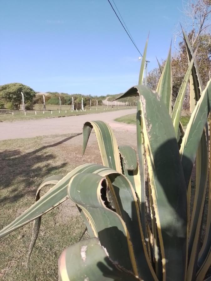 Alojamientos Frente Al Mar Complejo "El Estar De La Costa" San Clemente del Tuyú エクステリア 写真